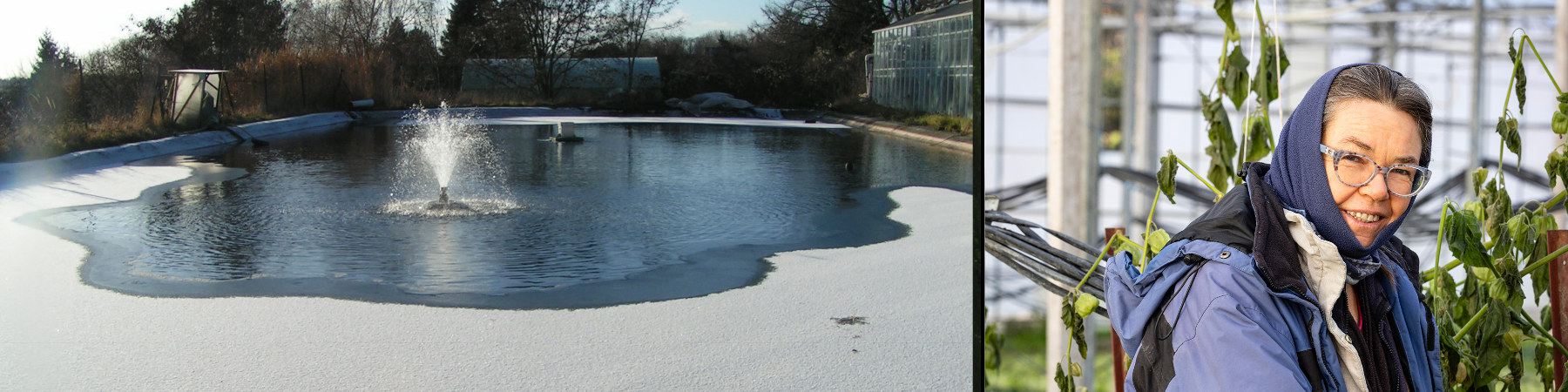 Betrieb und Standort